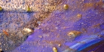 detail-sexuality-1
